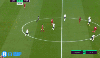 伦敦奥运马术双骄伴随爱马同日辞世 相互扶持逾二十载共谱辉煌传奇